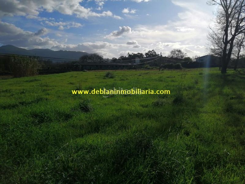 Foto ce6b1117-41f9-4f8d-b6dd-0d6c1a592a90. Terreny residencial a Tomiño