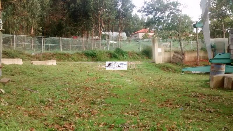 Foto 7fdead62-9f30-42fa-98ad-8e2a23b8338c. Terreny residencial a Tomiño