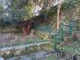 Ampliar foto c90cdf9c-75ce-47c1-9c92-b6bcd366a2ab.jpg