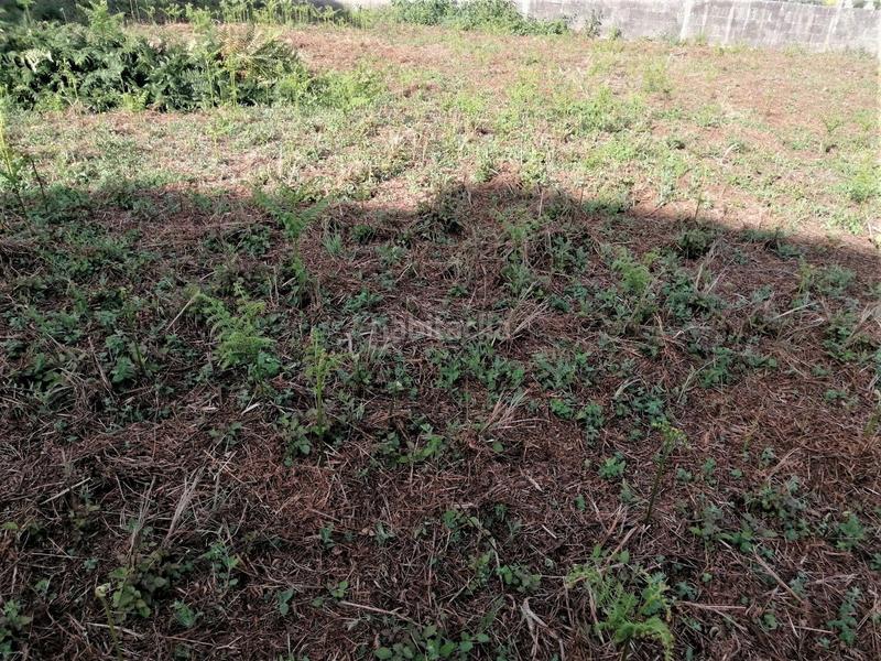 Foto 4961131f-1057-4996-9066-820dd02316ab. Terreny residencial a Dexo - Lorbé Oleiros
