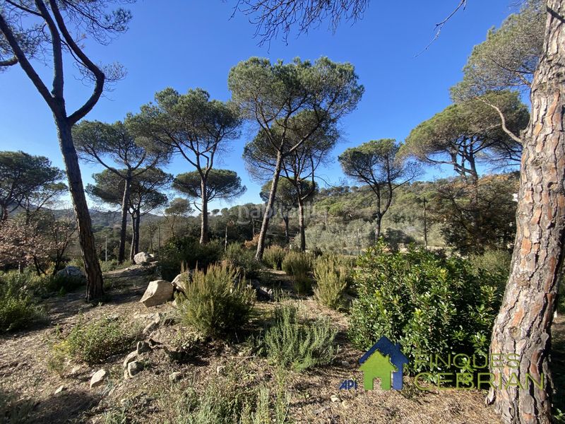 Foto dafb2673-e8d6-4da1-97b1-396836afb62b. Terreno residenziale in Vilanova del Vallès