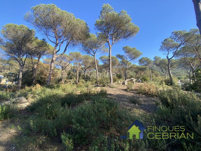Foto e5d132fb-3b66-4ecb-85b5-883978e5cd05. Terreno residenziale in Vilanova del Vallès