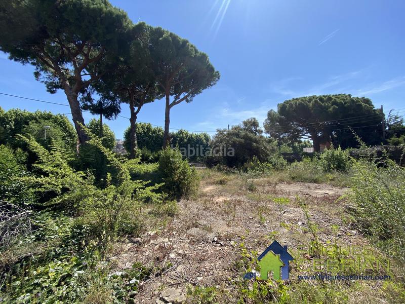 Foto 0fab0196-ebd6-4446-b385-602aaf2379ef. Terreny residencial a dels rosers 34 a Alella