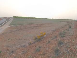 Terrain résidentiel à Villagarcía del Llano. Finca rustica en venta en villagarcía del llano