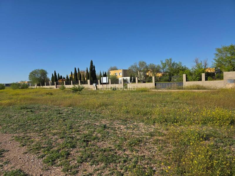 Foto 3276b3fd-d1c1-4fba-8785-e5fd4417ea13. Terreny residencial a Gineta (La)