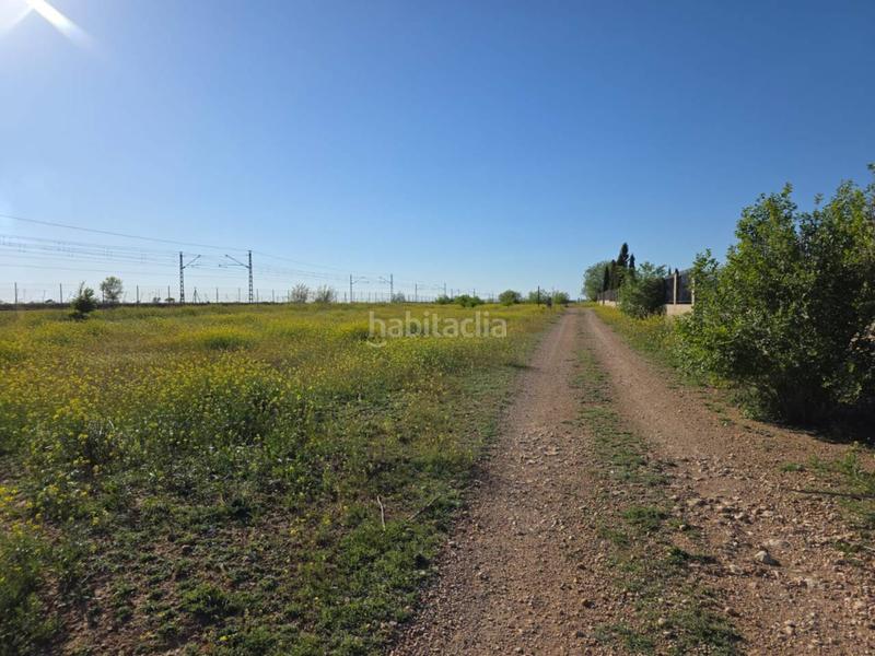 Foto 9da283f4-540b-4d40-939e-2a161544bb8f. Terreny residencial a Gineta (La)