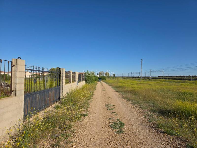 Foto bb95f935-6dae-459b-a08b-522965f68095. Terreny residencial a Gineta (La)