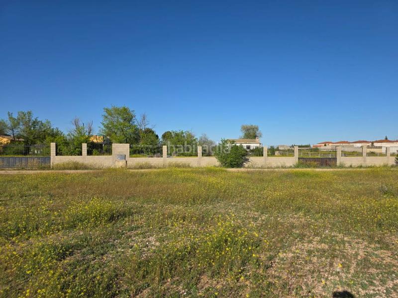 Foto da716e97-9b3e-4e91-bb6c-09ff0ff25a93. Terreny residencial a Gineta (La)