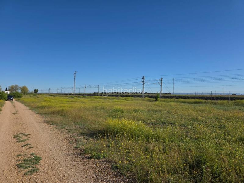 Foto fdb4f161-05df-4a82-b9a3-29899dfc1d69. Terreny residencial a Gineta (La)