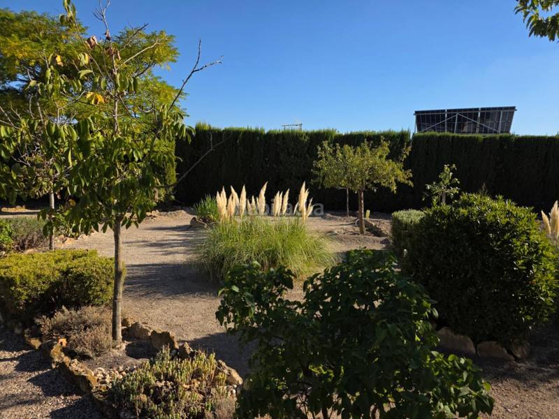 Foto e449674b-03bd-4a25-9315-450aba9fb542. Finca rústica a Pedanías - Extrarradio Albacete