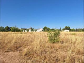 Residential Plot in San Pedro. Suelo urbanizable