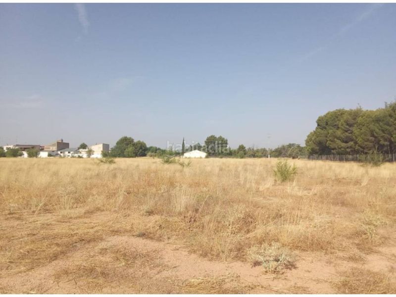 Foto 90c91fcd-6738-4ad0-b62d-dd7f16c064ff. Terreny residencial a San Pedro Albacete