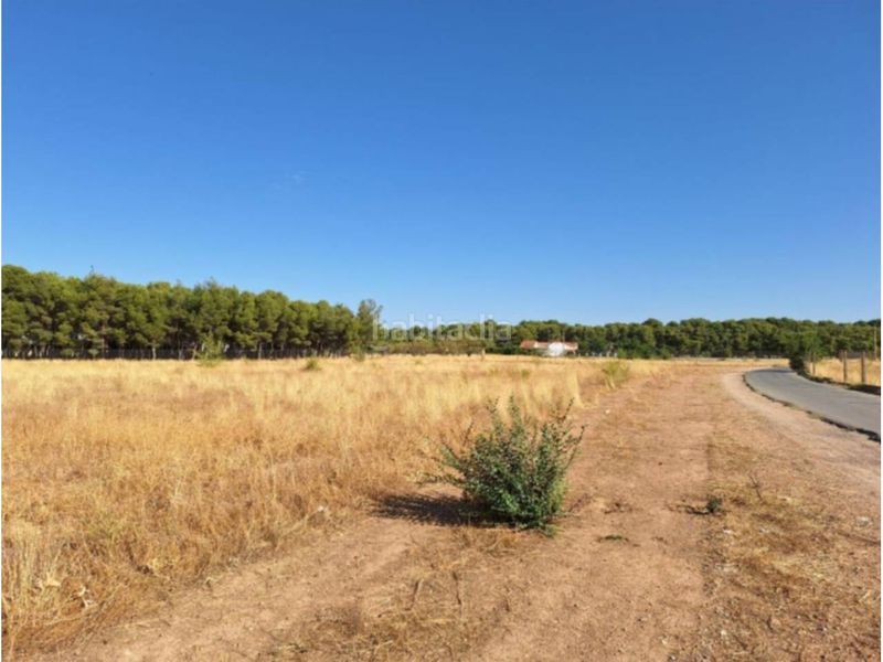 Foto aa5cb4dd-b851-44ef-b70f-0b5db6117975. Terreny residencial a San Pedro Albacete