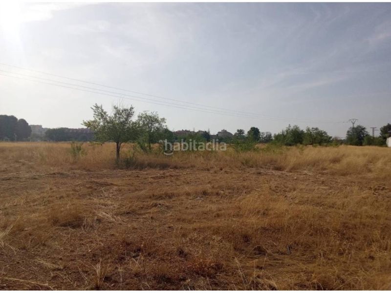 Foto ce018187-986d-4215-aff2-8beaa1038b68. Terreny residencial a San Pedro Albacete
