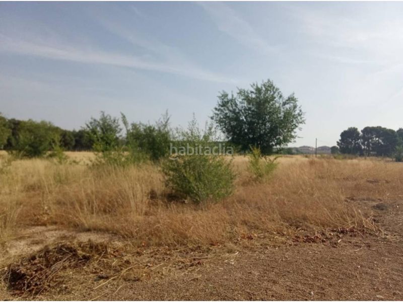 Foto deeb2476-64ef-4ae7-9d18-309d6c0320aa. Terreny residencial a San Pedro Albacete