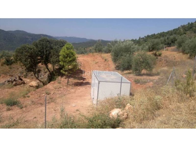 Foto 4b7f05b0-089a-4f6b-ae03-a50666ad714b. Finca rústica a Bogarra
