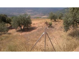 Finca rústica a Bogarra