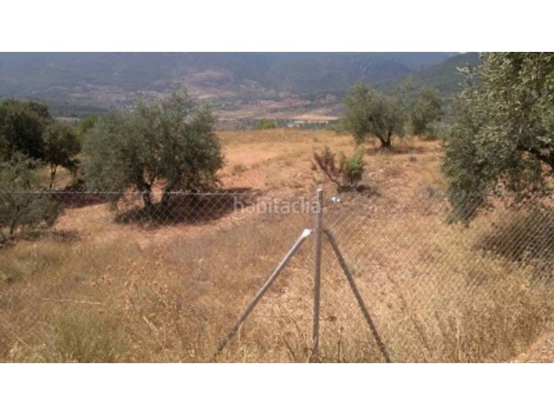 Foto 5879f2ef-7238-4a27-af36-fd9b2e807a4d. Finca rústica a Bogarra