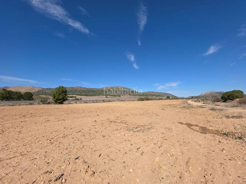 Foto 76a0f701-d8f6-480b-9624-c4de967ad754. Finca rústica a Tobarra