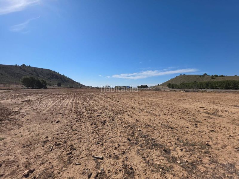 Foto becdbe6b-27d4-4a81-af0a-225fee1bb416. Finca rústica a Tobarra