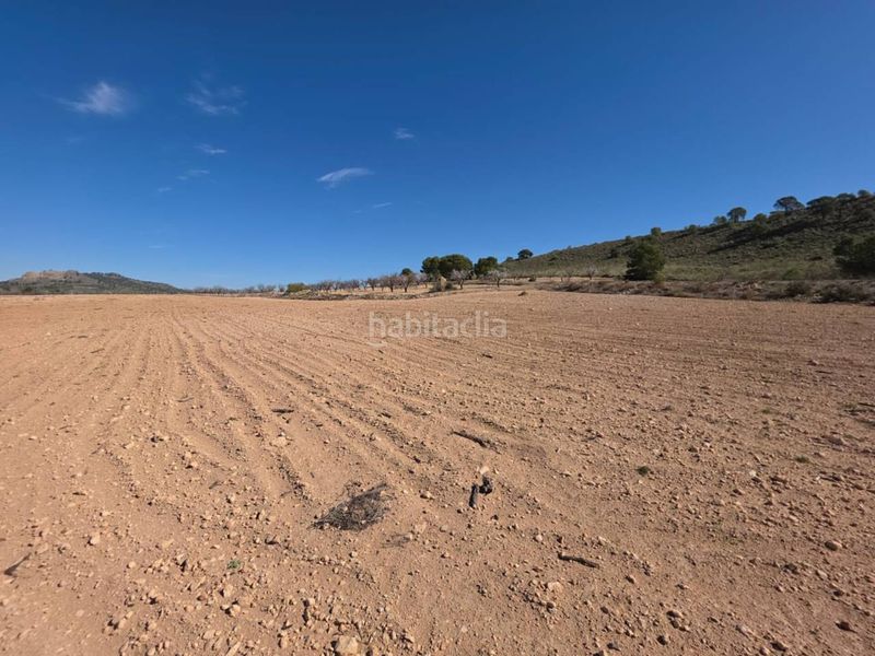 Foto e6da408d-34cf-44a1-802c-b8df606c03a0. Finca rústica a Tobarra