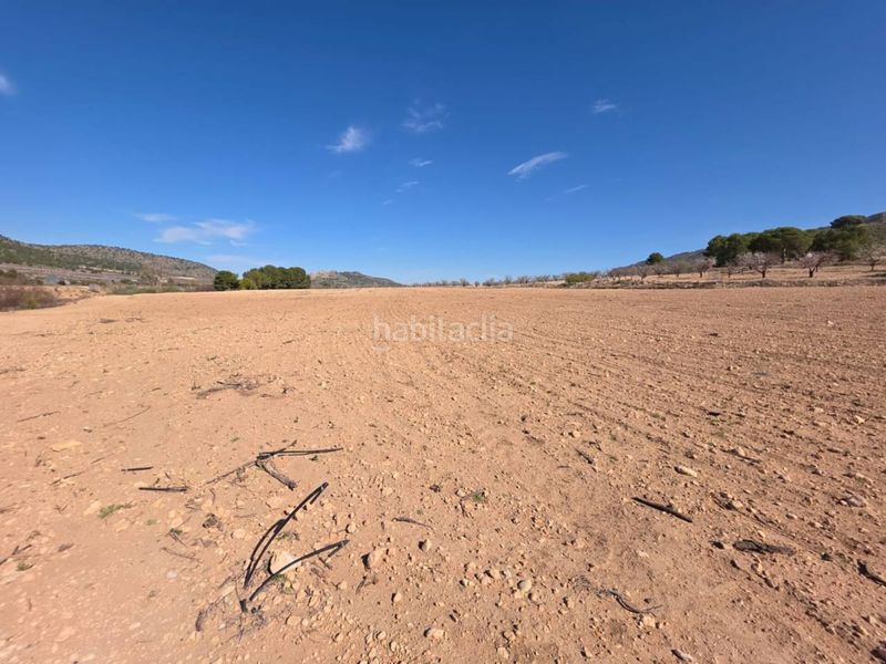 Foto fcf07b85-c058-4149-bf0e-96c32906908c. Finca rústica a Tobarra
