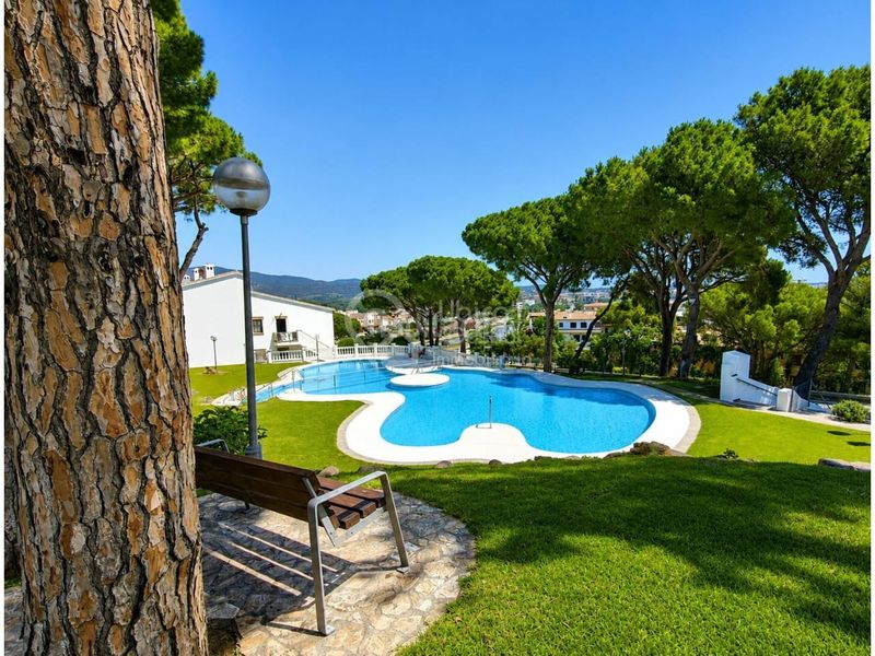 Foto 4062e47a-5484-4a7d-bfca-a0238a1f3900. Casa adossada amb piscina a Torre Valentina-Mas Vilar de La Mutxada-Treumal Sant Antoni de Calonge