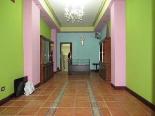 Geschftsraum en Bagatza - S. Vicente