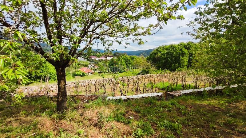 Foto 0d53025e-a392-4a9d-9a0a-33819897c8b0. Chalet  en punxin en Punxín