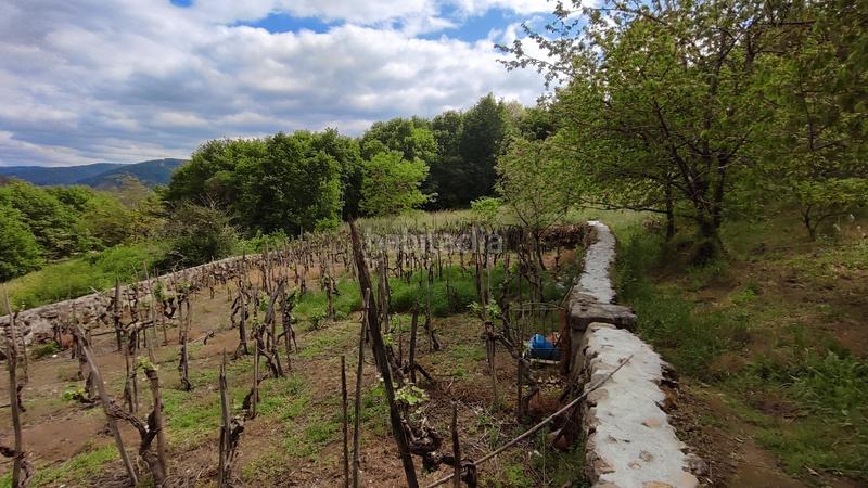 Foto 1cc7aadf-3f6e-4ddb-8c68-c5af9a7e29db. Chalet  en punxin en Punxín