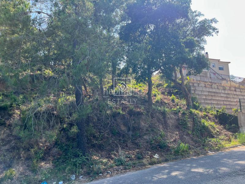 Foto 769bddaa-fdc5-4065-8951-d012a2e30d3a. Terrain résidentiel dans Lloret Residencial - Montlloret Lloret de Mar
