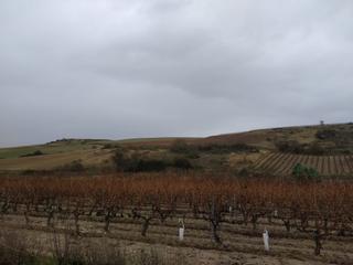 Rural plot in Rodezno