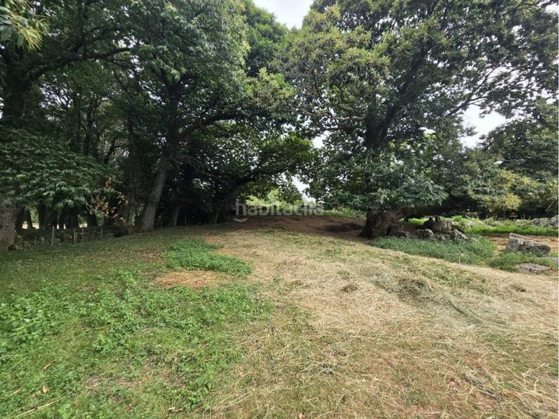 Foto b1330927-7b00-4876-bdc8-4e24390ce4b9. House in Parroquias del Este Lugo