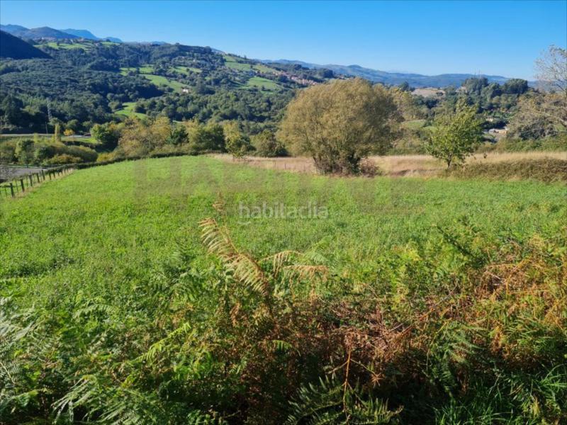 Foto ebfcea9c-1780-4dfd-a595-3bc47cf1eb96. Residential plot in El Callejo - La Pesquera - La Arenosa Laredo