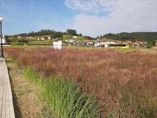 Terreny residencial a Bárcena de Cicero. Venta de terreno urbano en cicero, cantabria