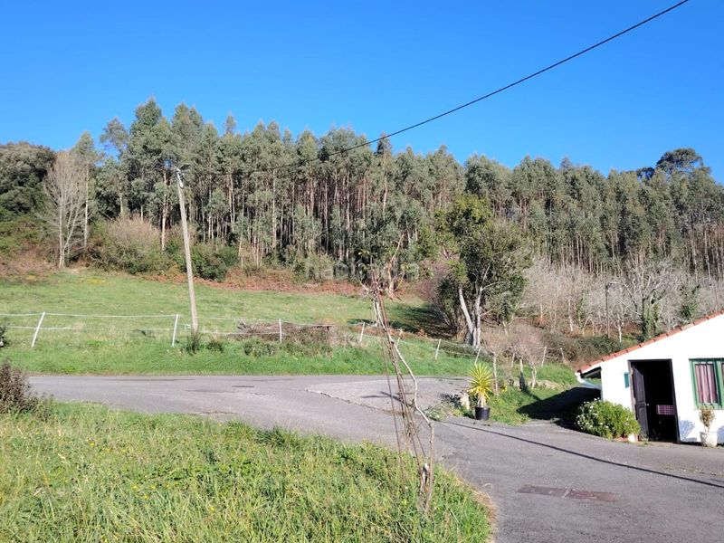 Foto 2764adba-fd6d-452d-98e9-87d9c3356f75. Terreny residencial a Gorliz