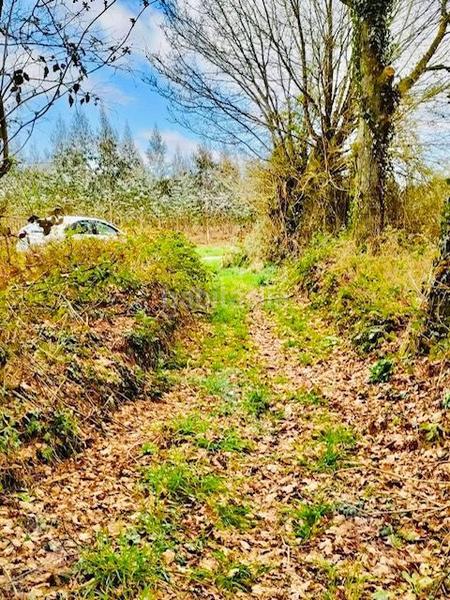 Foto bfc9897c-8aa2-4329-95cb-d4791639bb16. Casa in Corgo (O)