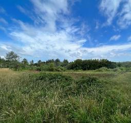 Terreny residencial  N/a. Se vende terreno de 1127m2 rústico en fondal lugo