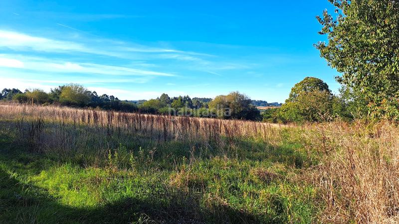 Foto 76361de7-eb8e-4e5b-b6ad-a59f0f79fecd. Mas avec cheminée parking dans Cambre