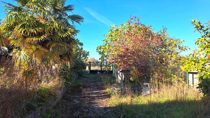 Foto 7c5e6008-fb1c-4db1-80fb-3a2ad72893be. Mas avec cheminée parking dans Cambre