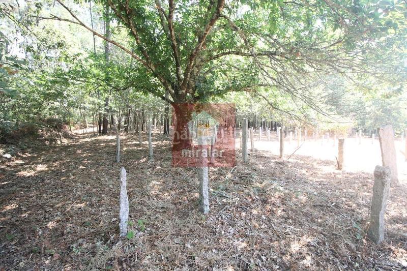 Foto 7e5630ba-b338-4428-ba09-6a23abc30638. Casa en Ponteareas