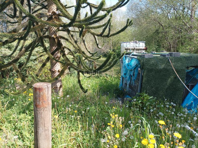 Foto 8e38c185-01fc-4df2-80d8-696f05f02af7. Finca rústica en ergoien auzoa 8 en Gamiz - Fika