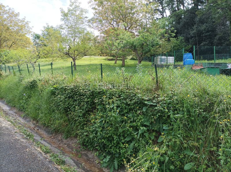 Foto 9a01f834-eb92-4b39-ad22-5d7ae4ebf303. Finca rústica a Morga