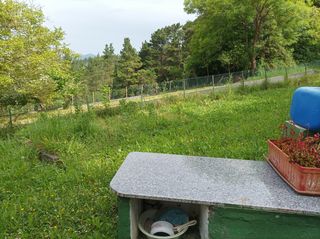 Finca rústica a Morga