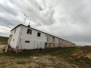 Nau industrial  Bu-920. Finca ganadera a la venta. 
terreno de 7.500 m2
nave y viviend