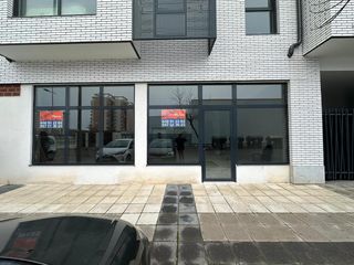 Lloguer Local Comercial  Rafael alberti