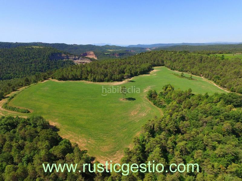 Foto fdf6aa6a-9afd-428f-b008-84ad959e982e. Bauernhof in n/a in Sant Feliu Sasserra