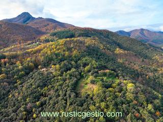 Masia a Arbúcies. Finca rústica amb masia i runes a arbúcies (la selva)