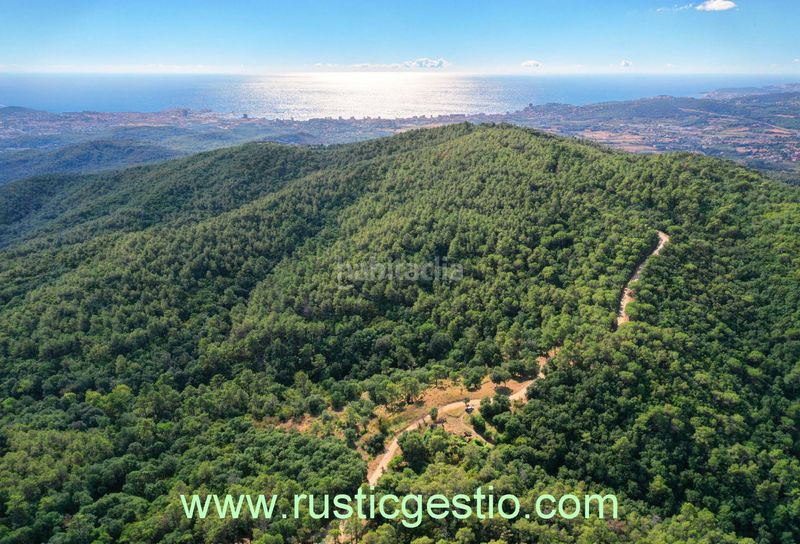 Foto fe1ac3d8-03e3-481b-8fde-db3bde3d4c2f. Masia a n/a a Mas Pere-Río de Oro Calonge