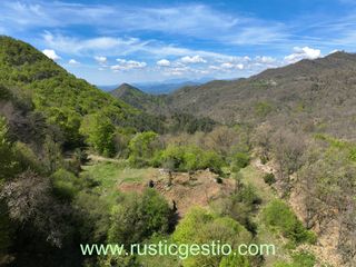 Casale  Camí de palou xic 1. Finca rústica amb masia a vidrà